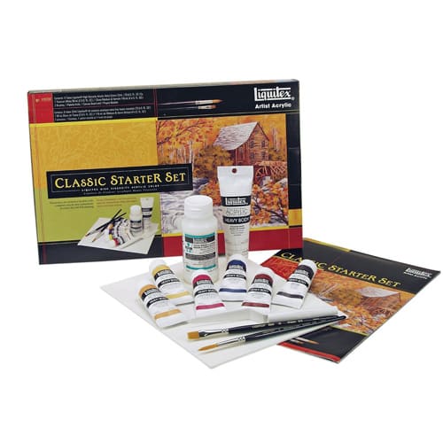 professional acrylic starter paint set