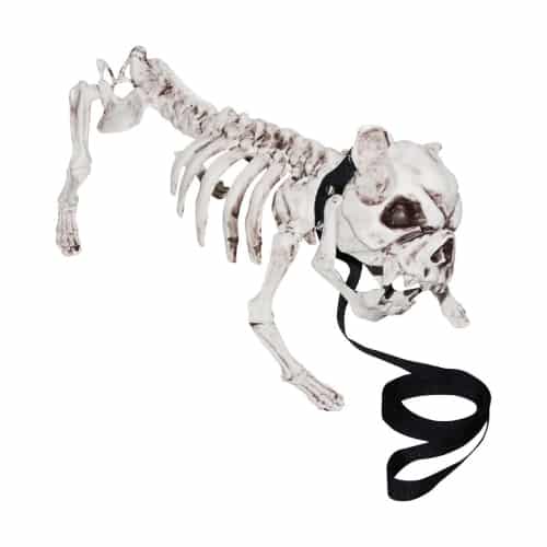 Skeleton Dog Prop