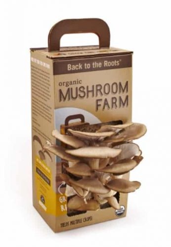 gift ideas for parents who have everything | organic mushroom farm