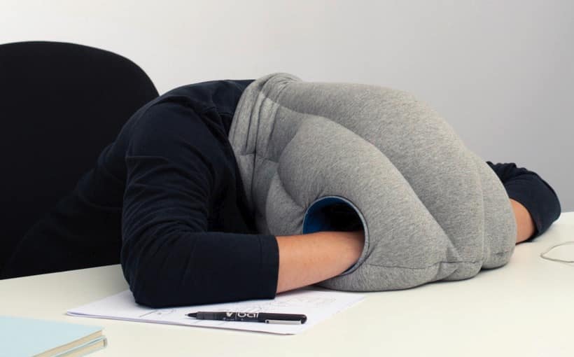 Ostrich Head Pillow