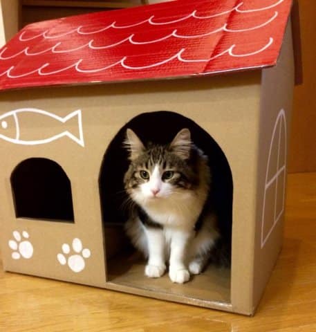 Neko Atsume DIY cat house made with sturdy corrugated cat house