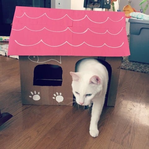 DIY cat house made with recyclable materials