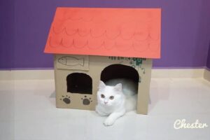 8 Neko Atsume DIY Craft Ideas – DIY Corrugated Cat Houses Inspired by Neko Atsume