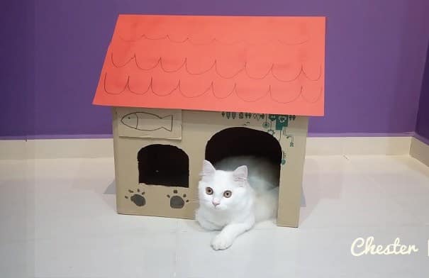 Simple DIY cat house idea inspired by Neko Atsume