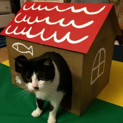 Cat house made with recyclable material