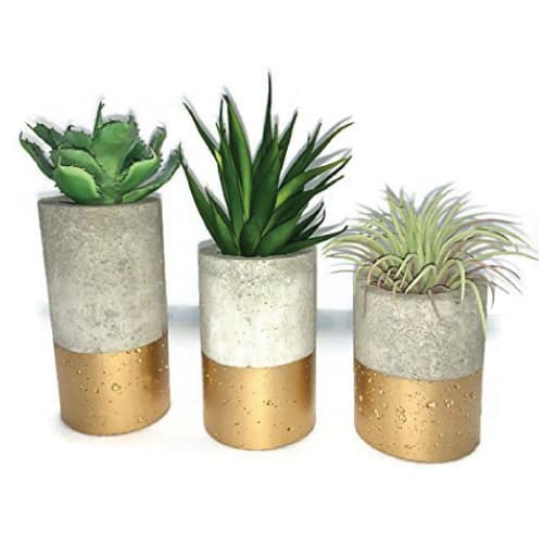Concrete Succulent Planters