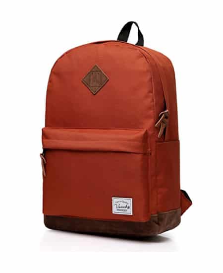 Vaschy classic backpack