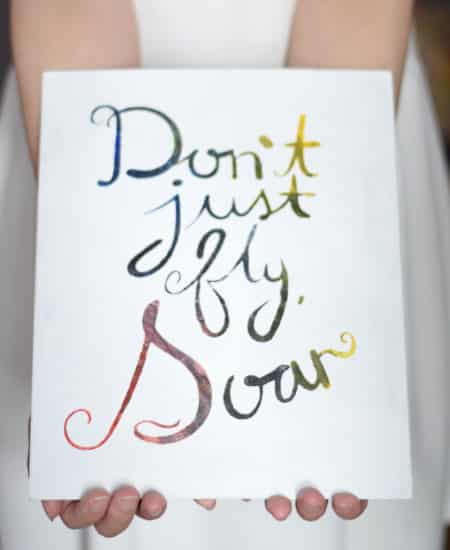 Don't Just Fly Soar Quote Painting