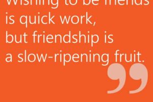 Best Friend Quotes: Wise Words about Friendship