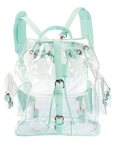 Zicac Transparent Bag