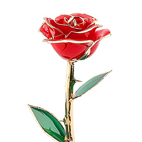 ZJchao Single 24K Gold Real Rose. 15th Wedding Anniversary Gift Ideas for Her, for Wife.