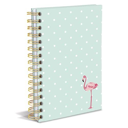  Whats in my backpack? Mint Flamingo Journal. School supplies. Backpack essentials.