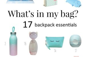 What is in My Bag? Back To School Checklist