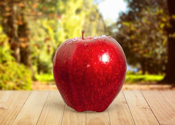 apple picking is a classic, fun, and cheap fall date idea