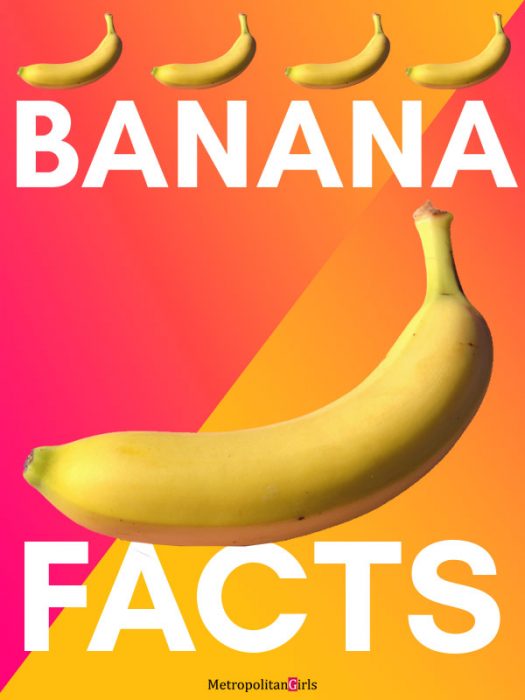 7 Fun Facts About Bananas That Will Blow Your Mind