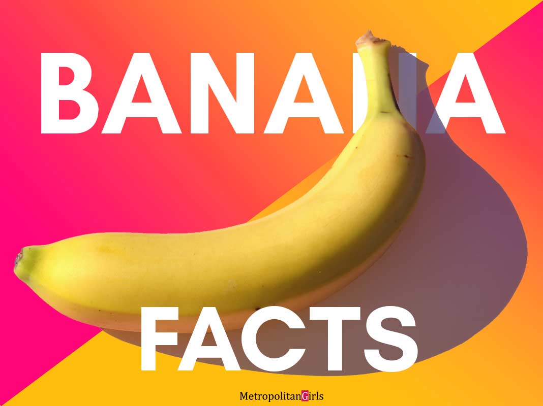 7 Fun Facts About Bananas That Will Blow Your Mind