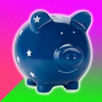 blue starry pig