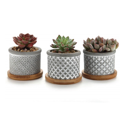 Cement Succulent Planter Pot with Bamboo Tray