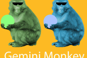 Gemini Monkey: Personality, Career, Love