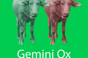 Gemini Ox Personality, Traits, Career, Love