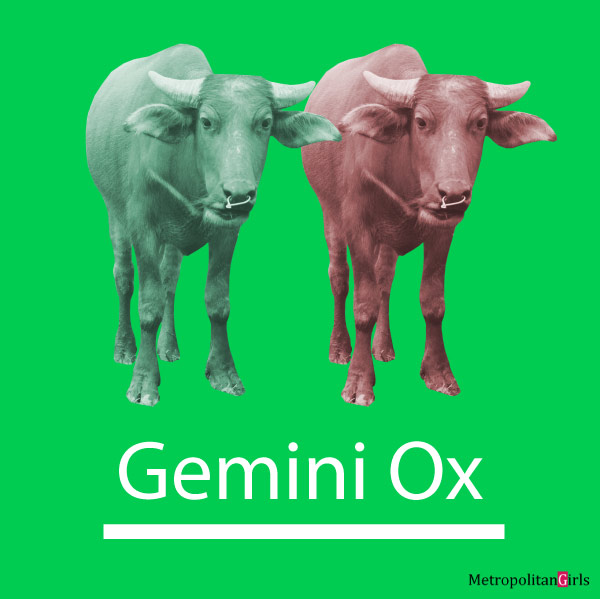 Gemini Ox Personality, Traits, Career, Love. Gemini-Ox Men, Women, Children