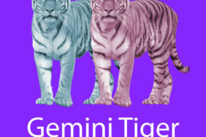 Gemini Tiger Personality, Traits, Flaws, Career, Love