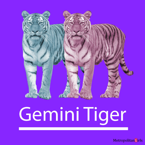 Gemini Tiger Personality, Traits, Flaws, Career, Love