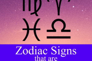 Who is the Best Friend for Every Zodiac Sign