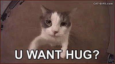 u want hug cat gif