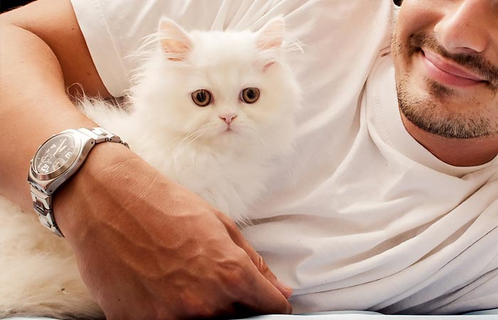 15 Serious Reasons Why You Should Date a Cat Owner