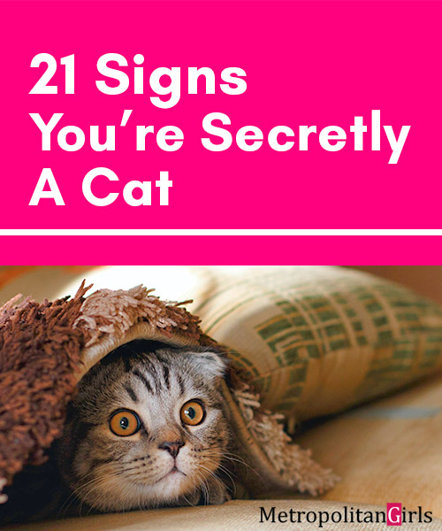 21 Signs You're A Cat Stuck in a Human Body