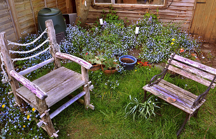 unique backyard date idea - grow a meadow