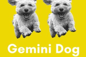 Gemini-Dog: Personality, Traits, Career, Love
