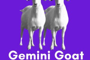 Gemini-Goat: Personality, Traits, Career, Love