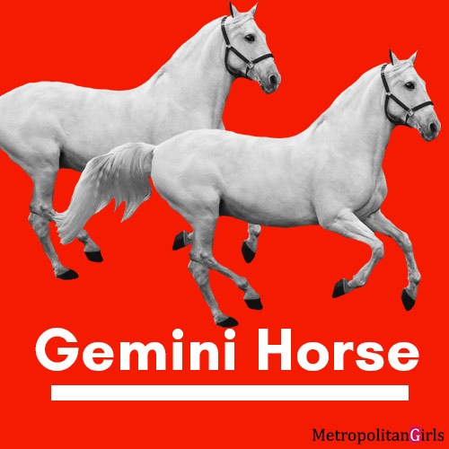 gemini horse