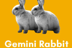 Gemini-Rabbit: Personality, Traits, Career, Love