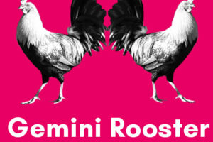 Gemini-Rooster: Personality, Traits, Career, Love