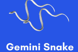 Gemini-Snake: Personality, Traits, Career, Love