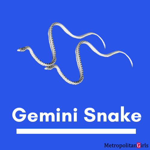 gemini-snakes