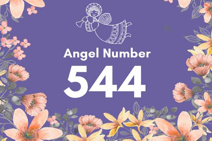 angel-number 544
