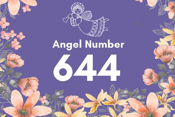 644 angel number