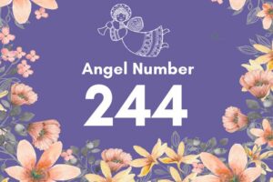 Angel Number 244