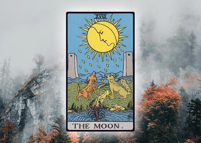 5 Tarot Cards that Represent Pisces the Zodiac Sign