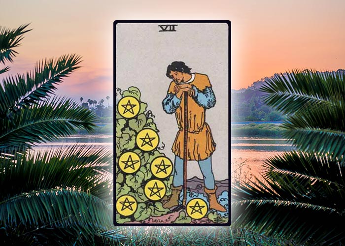 Seven of Pentacles Taurus Love