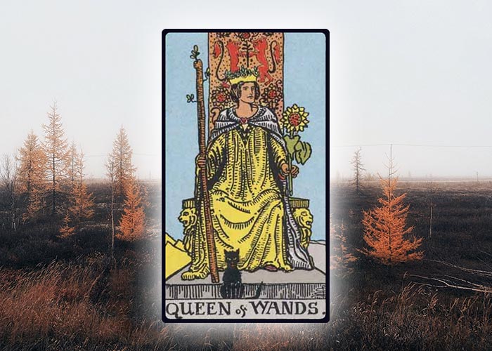 Queen of Wands