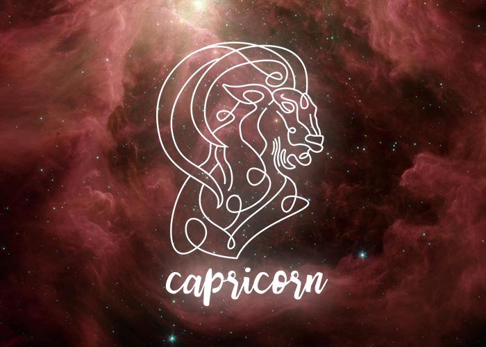 capricorn review