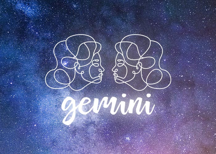 Gemini symbol the twins