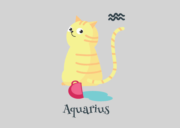 aquarius cat