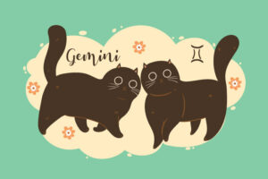 Gemini Cat’s Personality