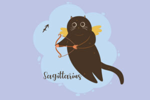 Sagittarius Cat’s Personality